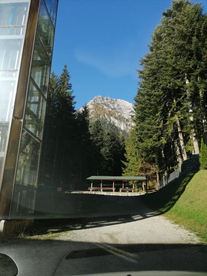 Hostel Cppi Nord Buşteni Exteriér fotografie