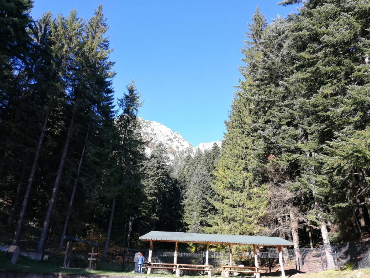 Hostel Cppi Nord Buşteni Exteriér fotografie