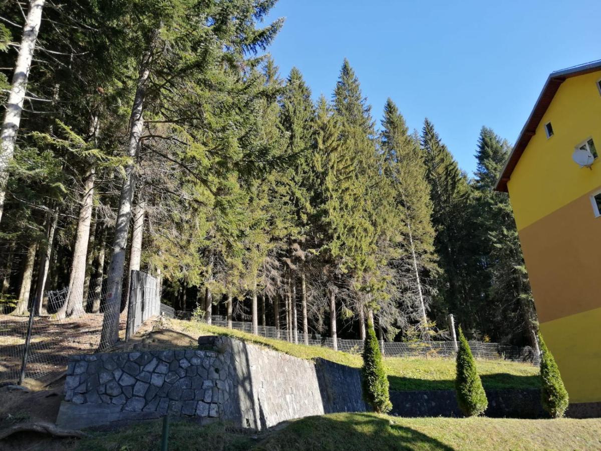Hostel Cppi Nord Buşteni Exteriér fotografie