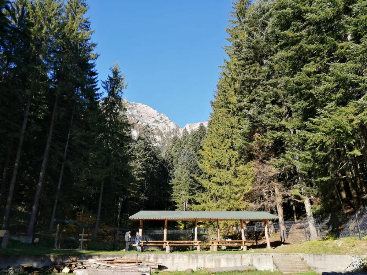 Hostel Cppi Nord Buşteni Exteriér fotografie