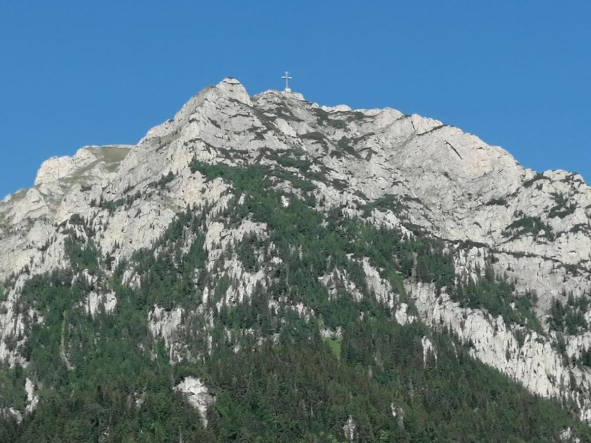 Hostel Cppi Nord Buşteni Exteriér fotografie