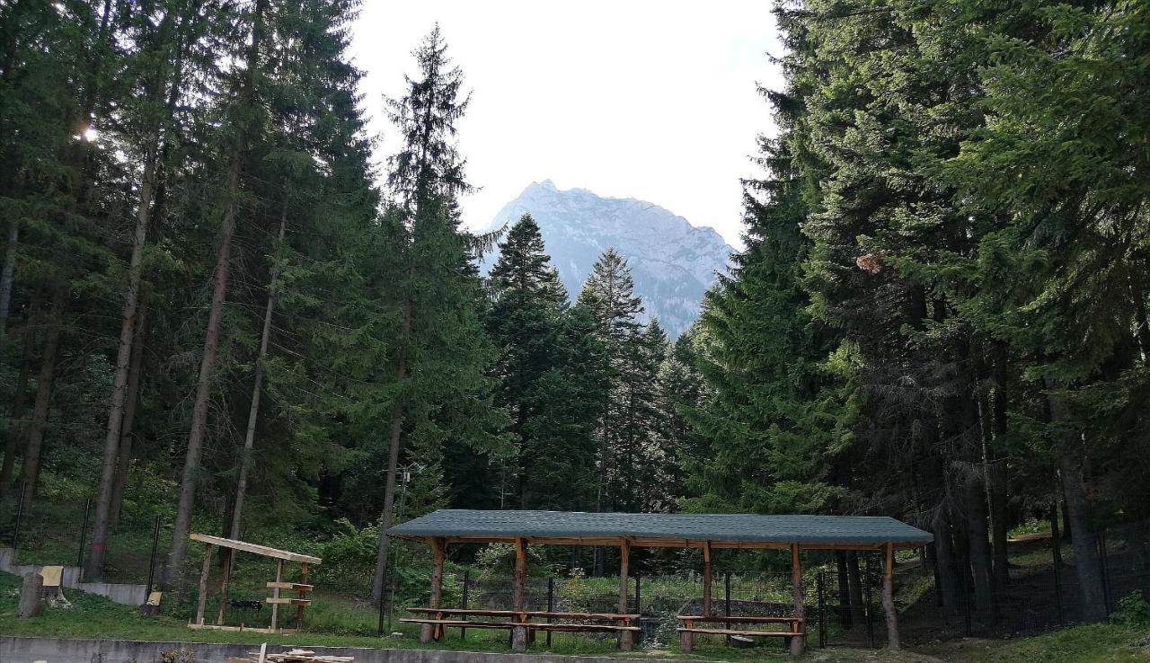 Hostel Cppi Nord Buşteni Exteriér fotografie