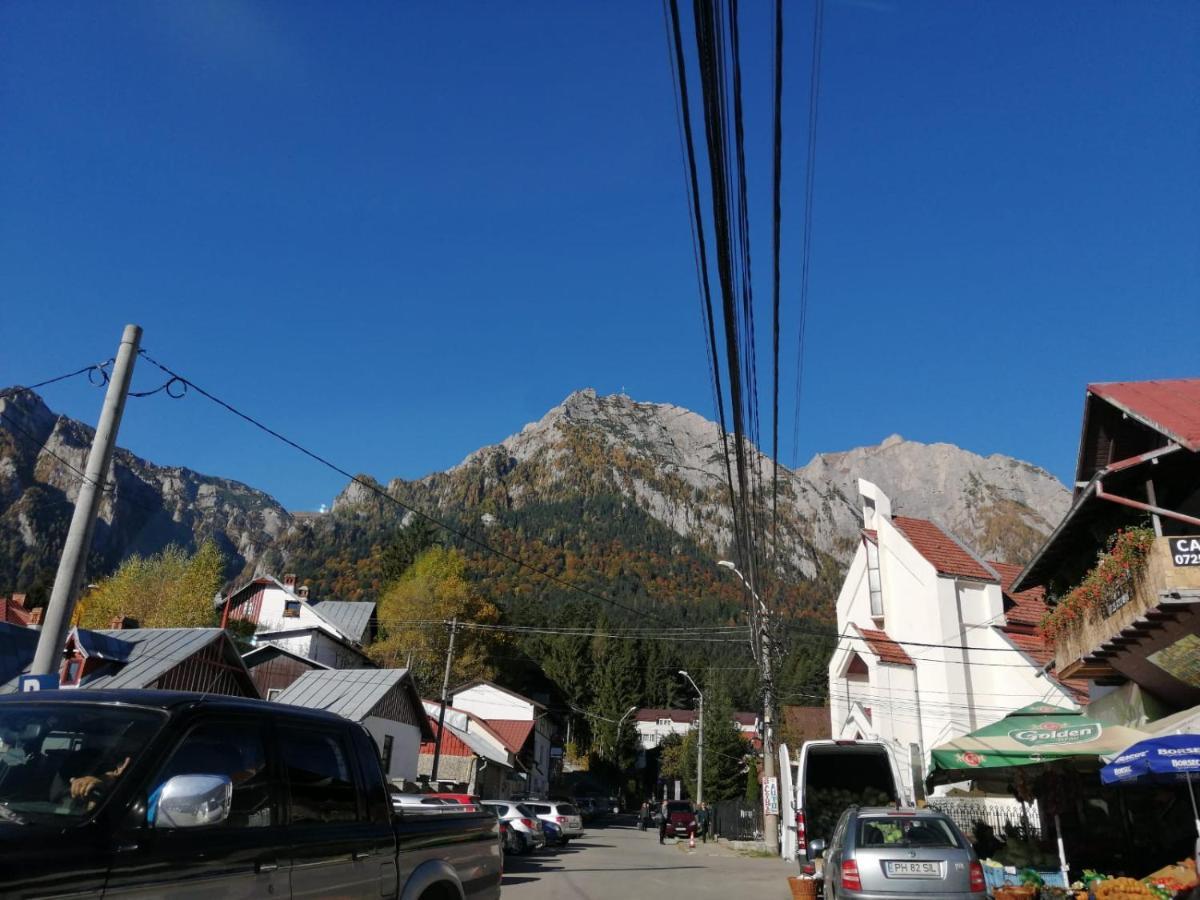 Hostel Cppi Nord Buşteni Exteriér fotografie