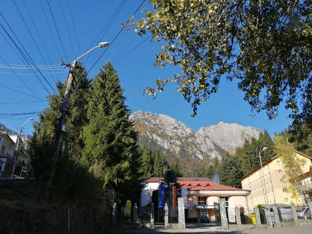 Hostel Cppi Nord Buşteni Exteriér fotografie