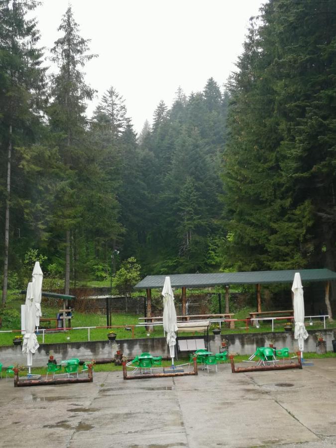 Hostel Cppi Nord Buşteni Exteriér fotografie