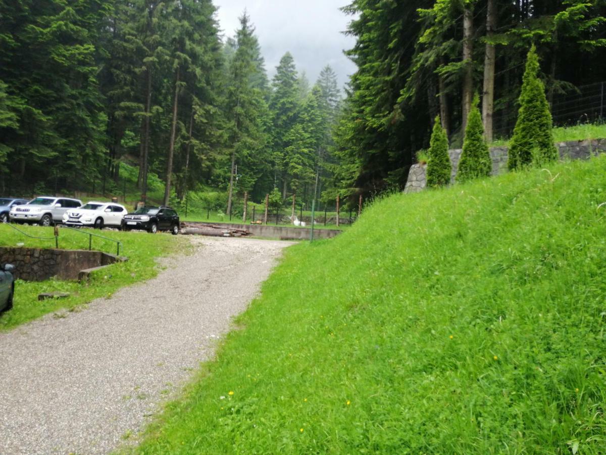 Hostel Cppi Nord Buşteni Exteriér fotografie